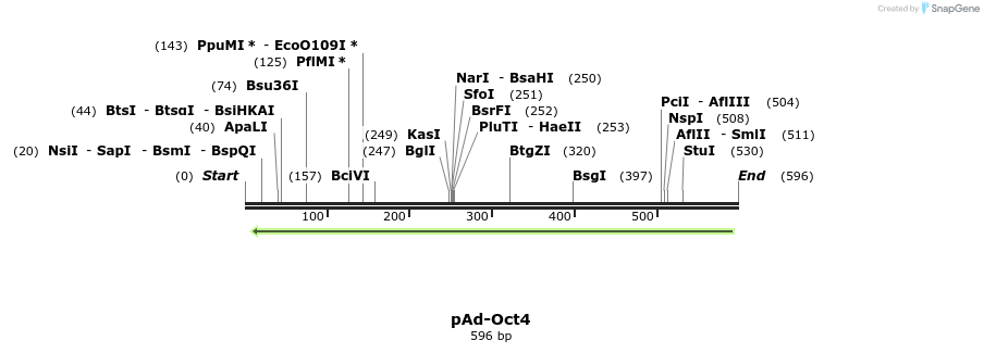 25414_map