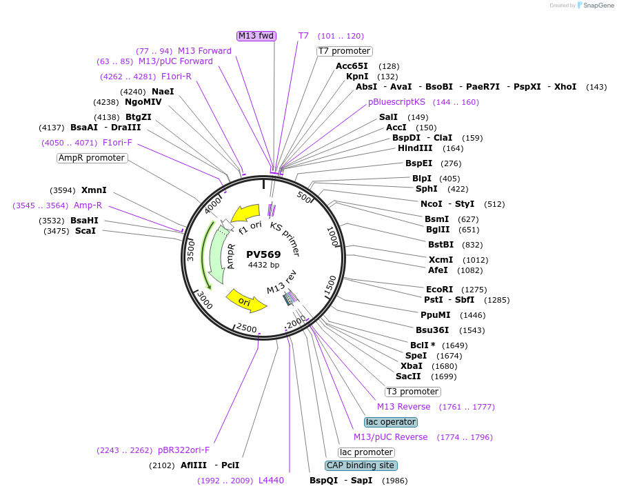 254141_map
