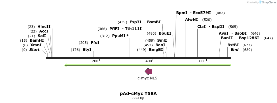 25415_map