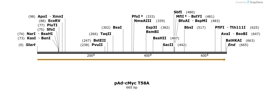 25417_map