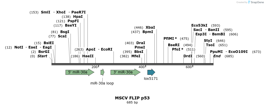 25427_map