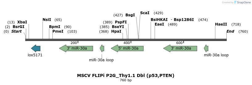 25428_map