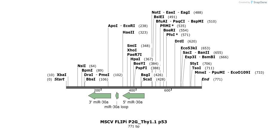 25429_map