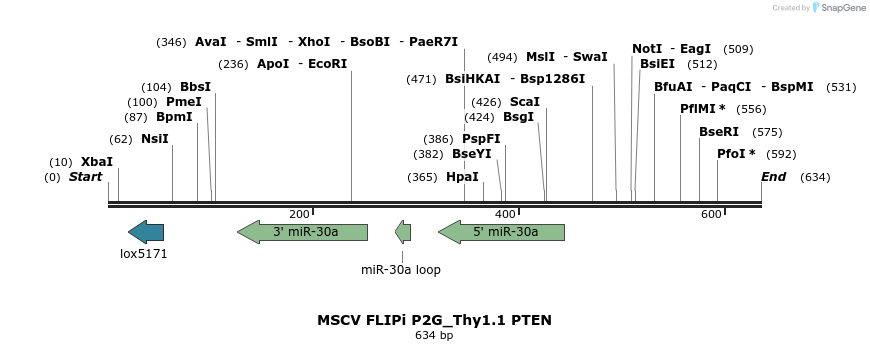 25430_map