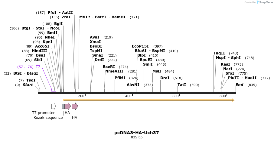 25435_map