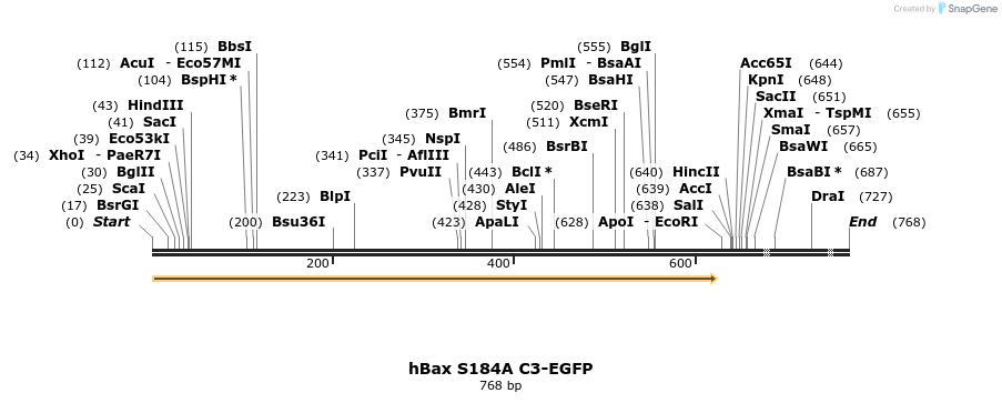 25437_map