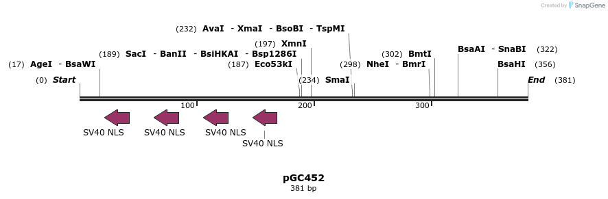 25451_map