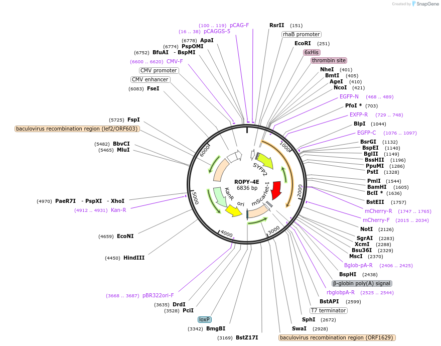 254580_map