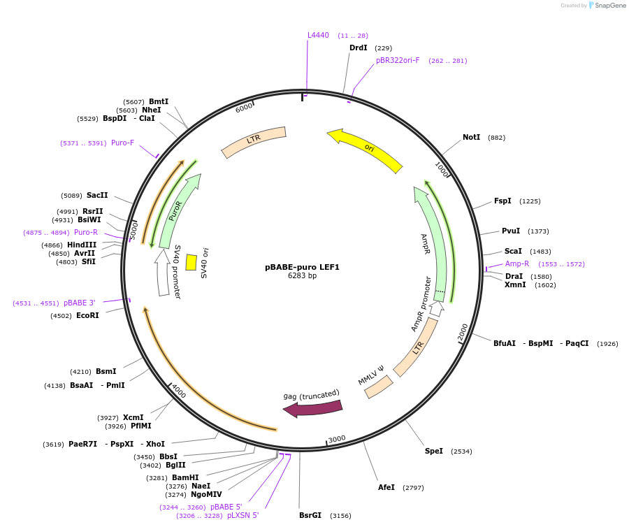 254707_map