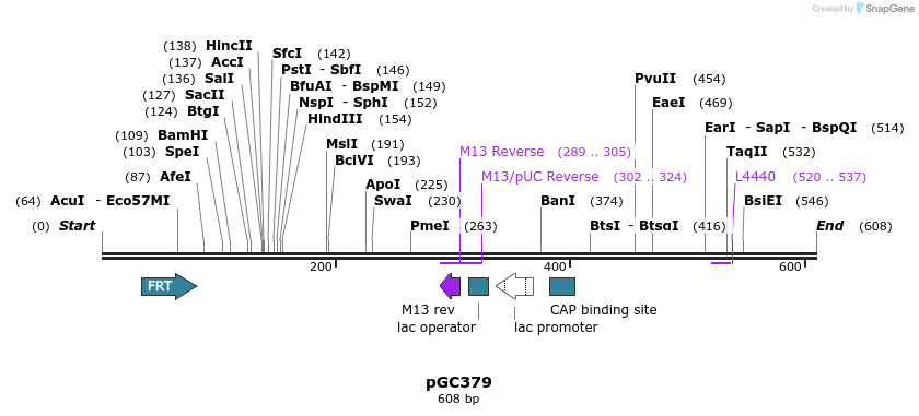 25472_map