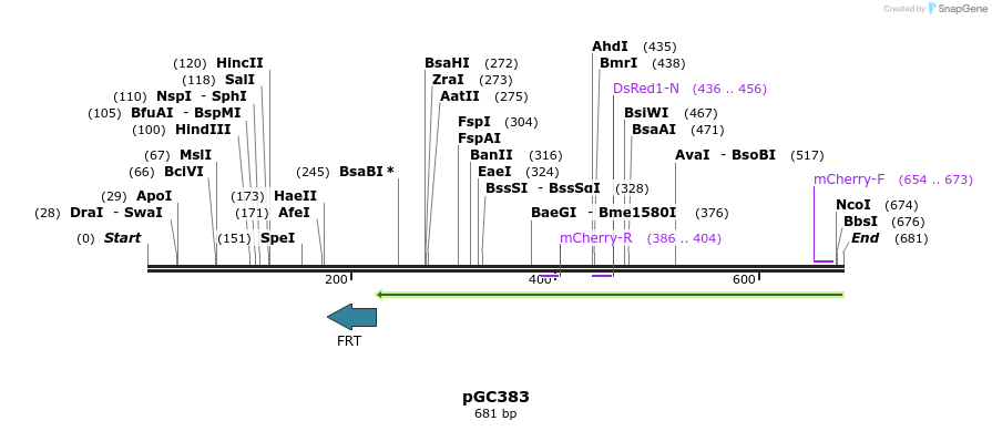 25478_map