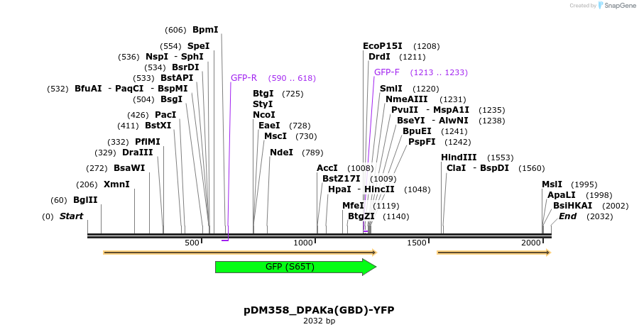 254866_map