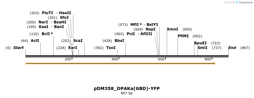 254867_map
