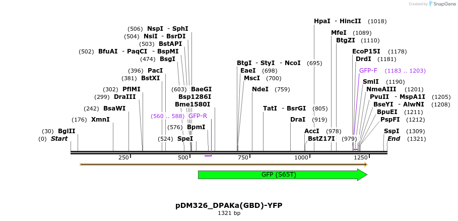 254869_map