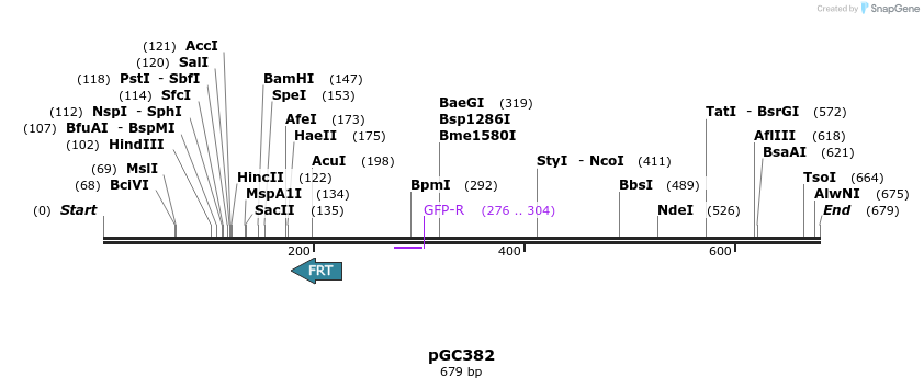 25492_map