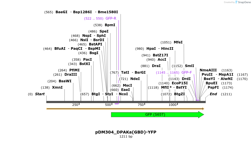 254985_map