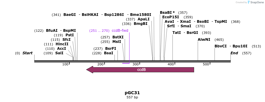 25503_map