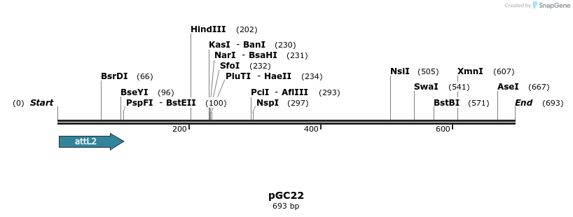 25506_map
