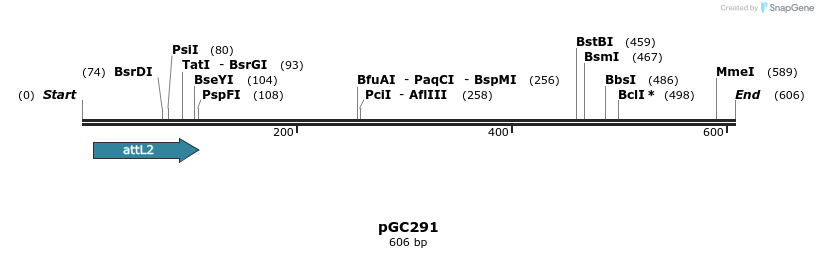 25509_map