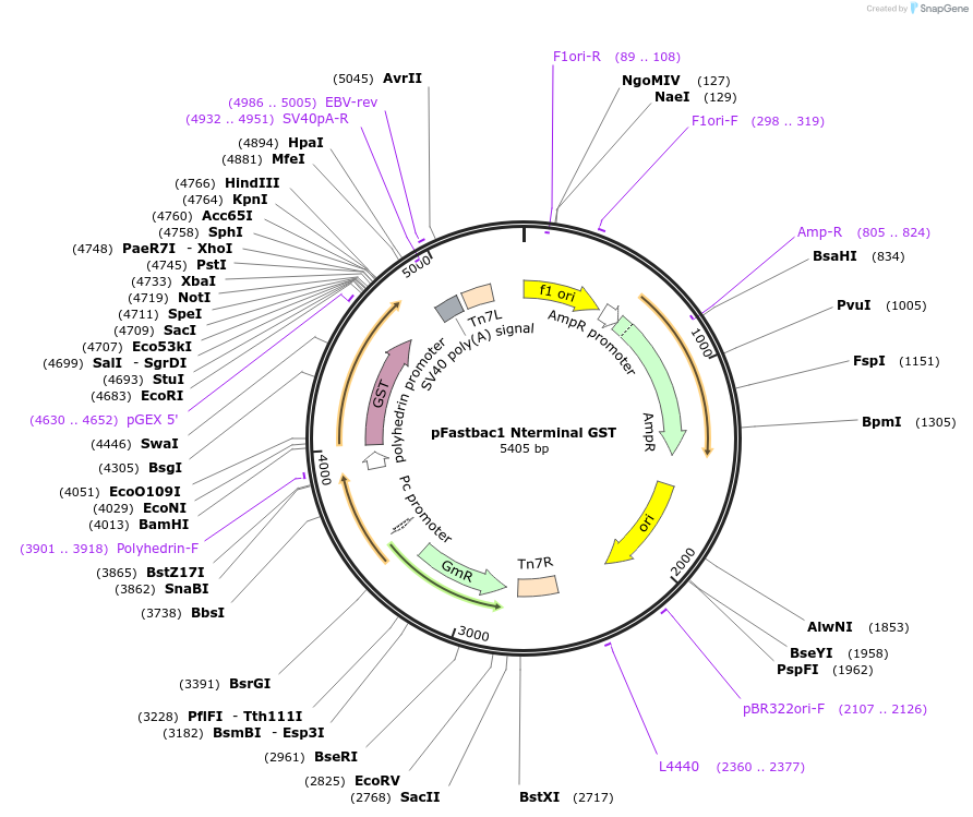 255102_map
