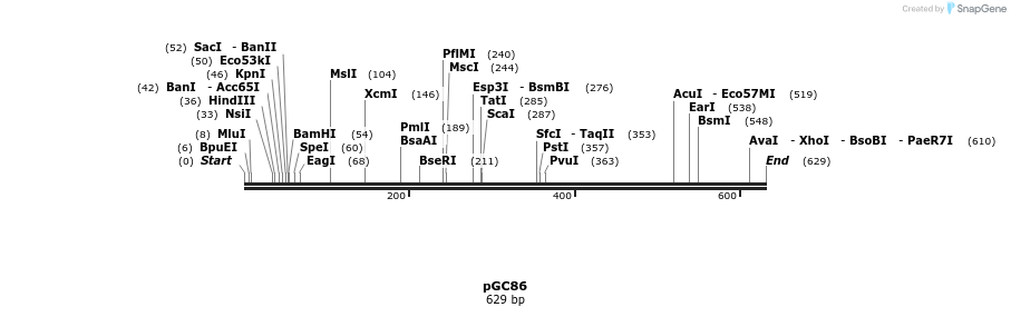 25515_map