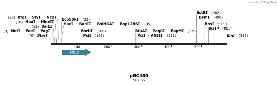 25516_map