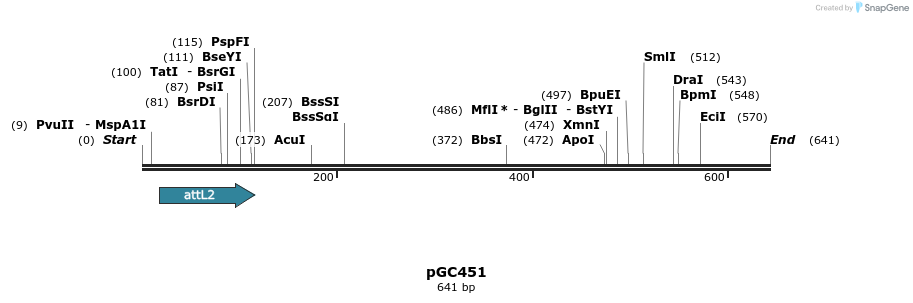 25517_map