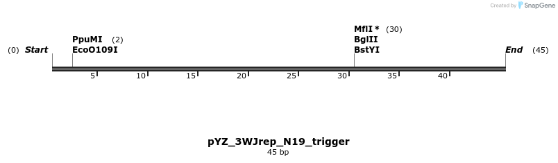 255210_map