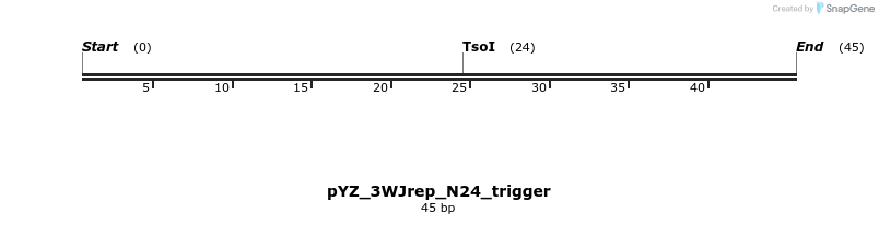 255212_map