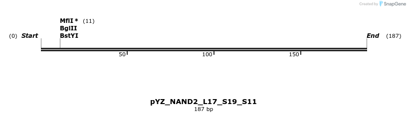 255213_map