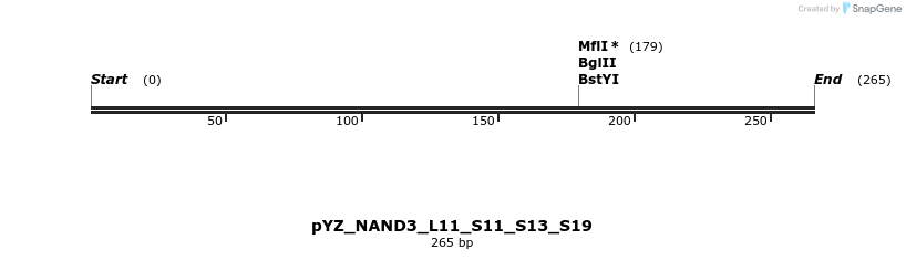 255215_map