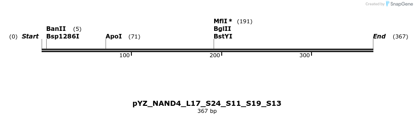 255217_map