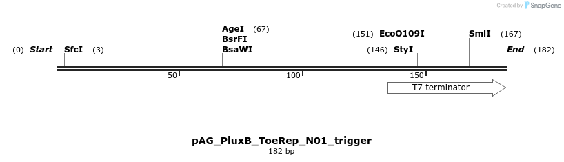 255222_map