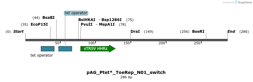 255223_map