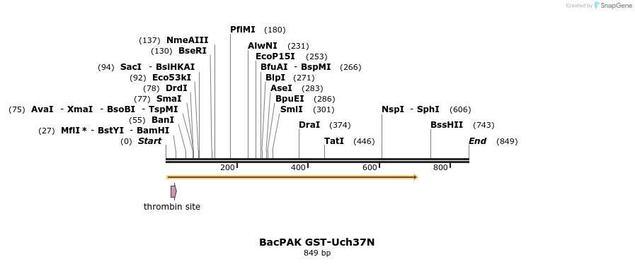 25527_map