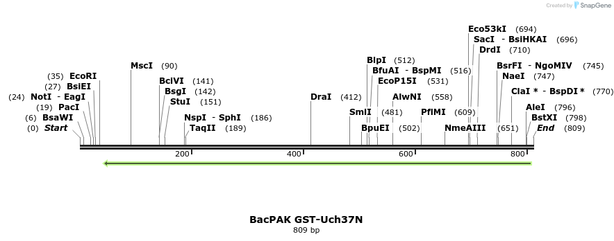 25528_map
