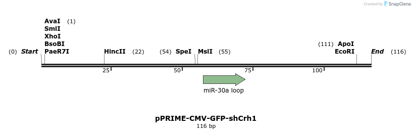 255281_map
