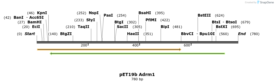 25531_map