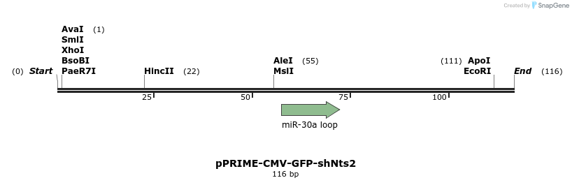 255312_map