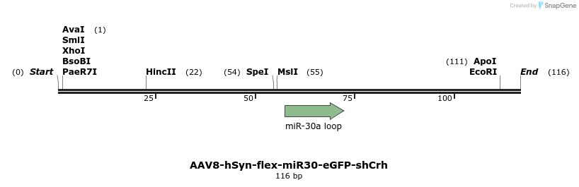 255321_map