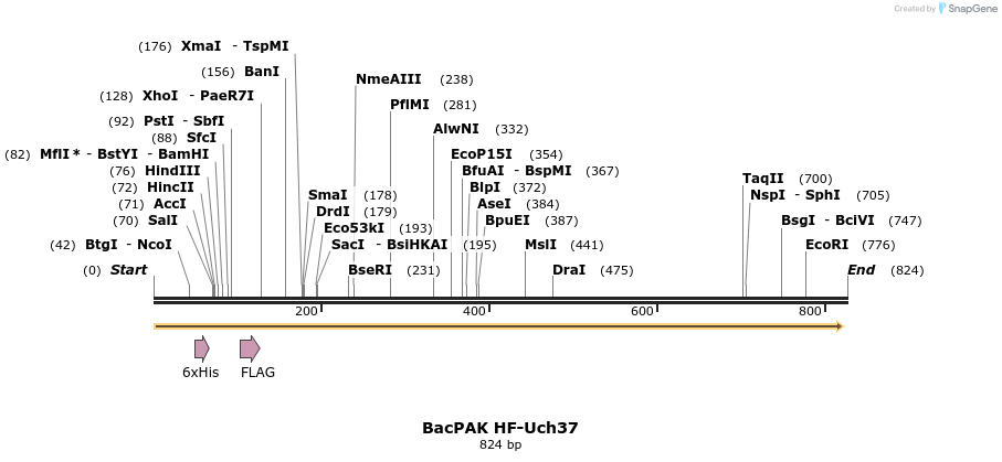 25533_map