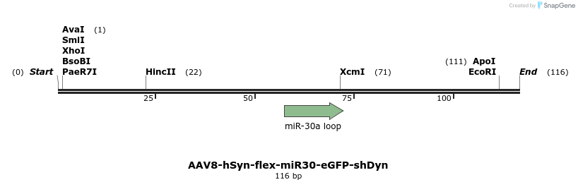 255345_map