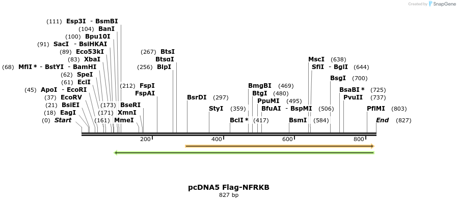25538_map