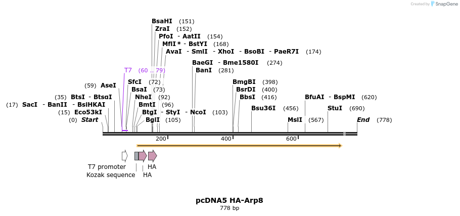 25546_map