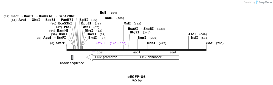 25549_map
