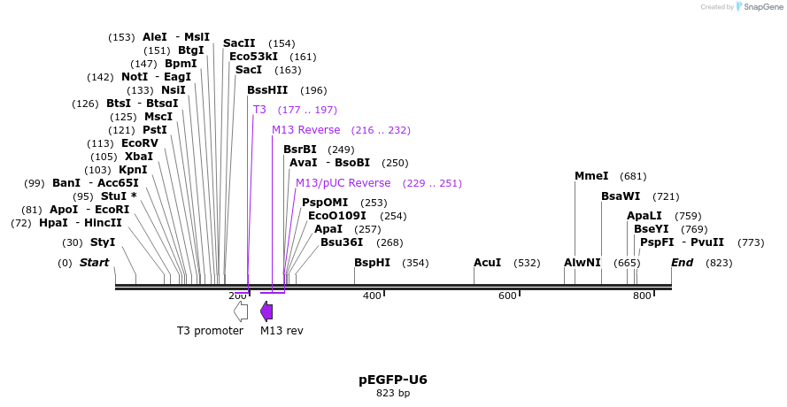 25550_map