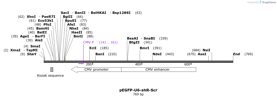 25551_map