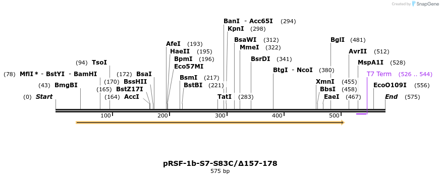 255529_map