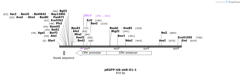25553_map