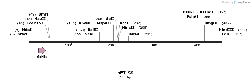 255533_map